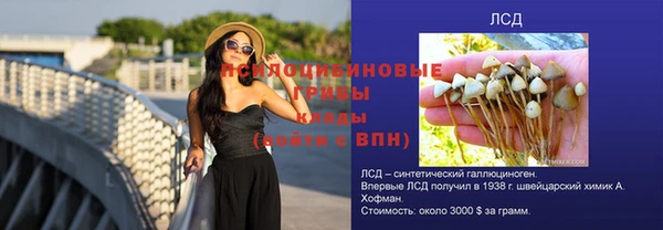 мдма Снежногорск