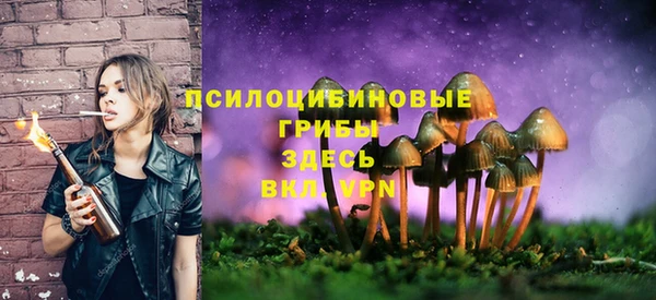 прущая мука Снежинск