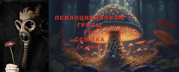 твердый Балабаново